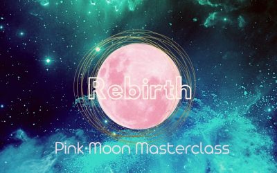 Pink Full Moon - Rebirth