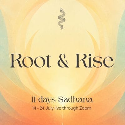 Root & Rise