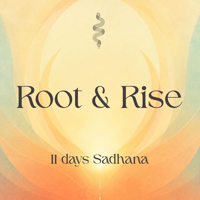 Root & Rise Sadhana